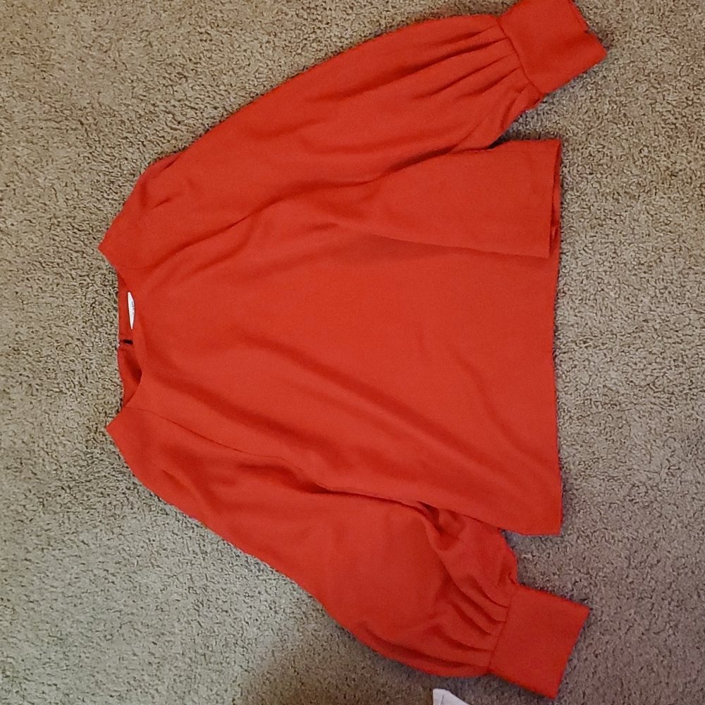 Burnt umber blouse